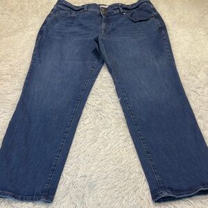 Lane Bryant Dark Blue Jeans HIGH RISE SLIM STRAIGHT TIGHTER TUMMY WOMENS 20